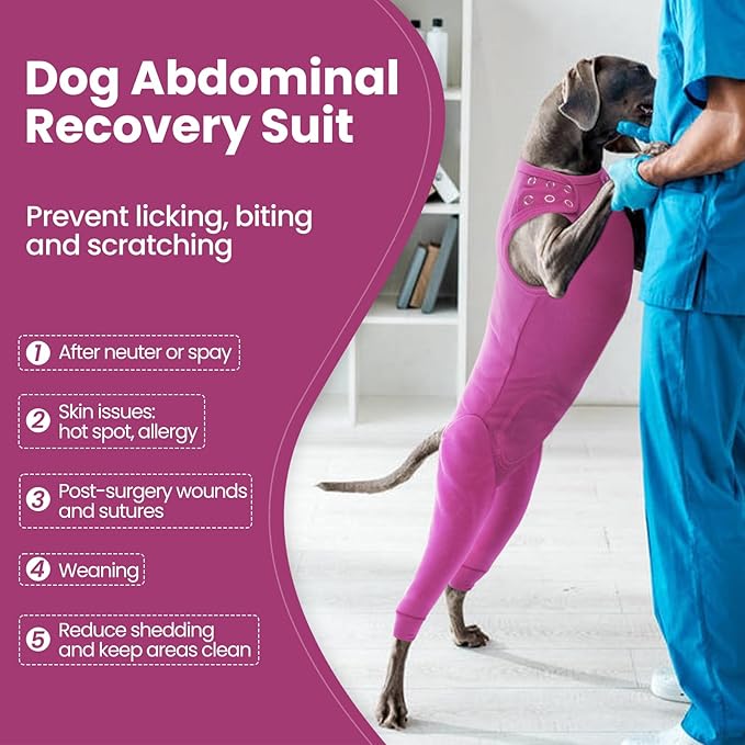 Nanaki Dog Wound Care Shirt,Dog Leg Sleeve to Stop Licking Rear Leg and Abdomen,Pet Surgery Suit Female Spay,Dogs Onesie for Surgery Female Male,Pet Surgical Recovery Suit Female Wound Heal Clothes