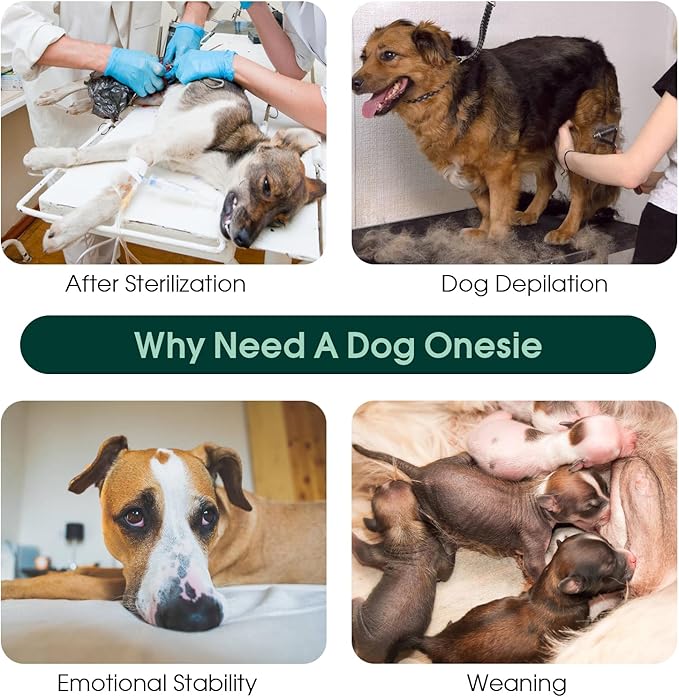 Kuoser Dog Recovery Suit for Female Male Dogs, Post-Surgery Bodysuit for Spay Neuter, Dog Onesie After Surgery, Anti-Licking Pet Surgical Recovery Suit