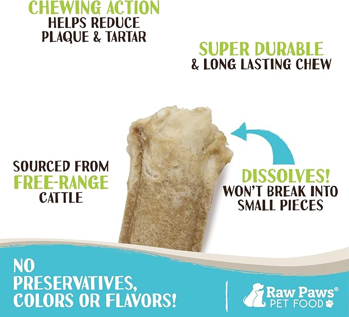 Raw Paws 10-inch Compressed Rawhide Sticks for Dogs, 10-ct - Pressed Rawhide Chews for Large & Medium Dogs - Safe Hide Rolls - Natural Dog Chew Long Lasting for Aggressive Chewers