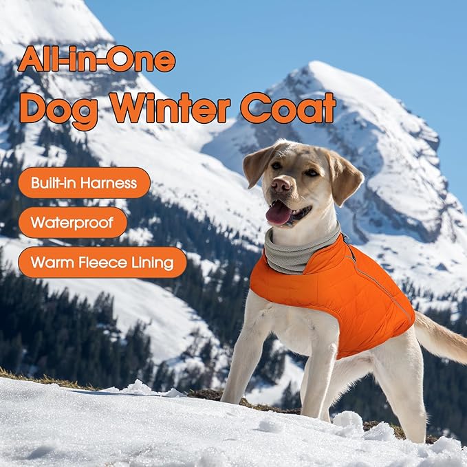 QBLEEV Dog Coat for Small Dogs, Winter Warm Fleece Vest, Waterproof & Windproof with Adjustable Fit, Built-in Harness, Reflective Trim & Zip-Up for Safe Cozy Walks — Orange, XS, for Chihuahua, Yorkie