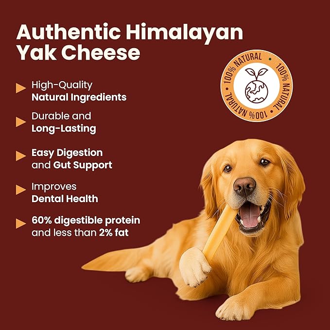 100% Natural Himalayan Yak Cheese for Dogs - XLarge (Pack of 1) - Sourced from Pristine Himalayan Foothill, Rawhide-Free, NO preservatives