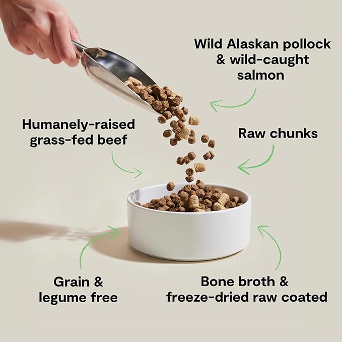 Open Farm, RawMix Grain-Free Dry Dog Food, Protein-Packed Kibble Coated in Bone Broth with Freeze Dried Raw Chunks, Pollock Beef & Salmon, Tide & Terrain Recipe, 3.5lb Bag