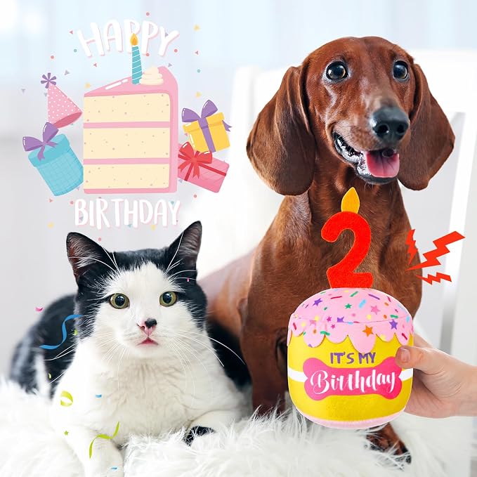 Dansydaisy Dog Birthday Cake Toy Squeaky Plush Gift,2nd,Pink and Yellow