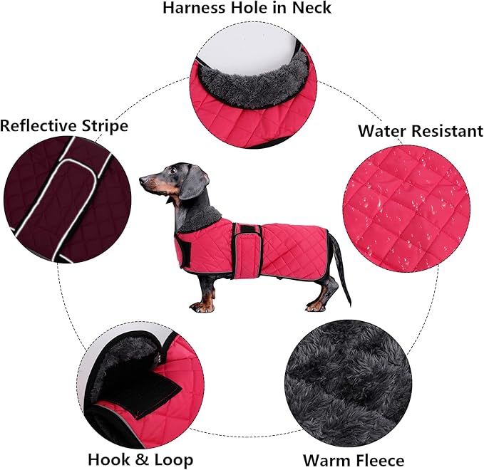 Dachshund Coat Dog Coats for Dachshunds Dachshund Winter Jacket with Padded Fleece Outdoor Dog Clothes with Adjustable Bands - Pink - L