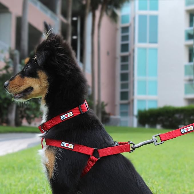 Pawtitas Solid Step-in Dog Harness – Adjustable No-Pull Vest for Puppies to Seniors, Safe & Comfortable L Orchid