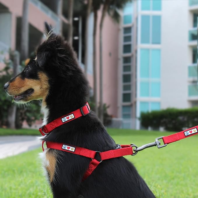 Pawtitas Solid Step-in Dog Harness – Adjustable No-Pull Vest for Puppies to Seniors, Safe & Comfortable L Green