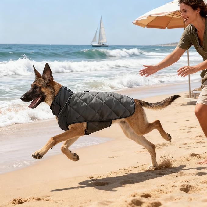 Weighted Dog Vest, Tactical Weight Coat with Beads for Dogs - Relieve Anxiety, Build Muscle & Optimize Health, Premium Heavy Duty Dog Training Jacket for Exercise and Strength (Dark Grey, XL)