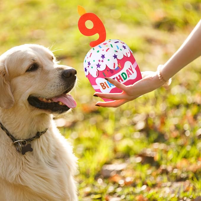 Dansydaisy Dog Birthday Cake Toy Squeaky Plush Gift,9th,Pink