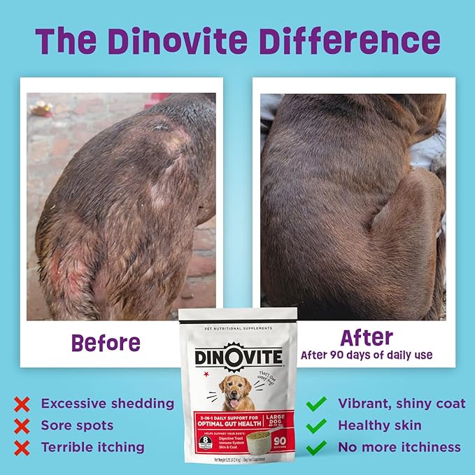 Dinovite 3 in 1 Probiotic for Medium Dogs, Skin & Coat, Digestive Health & Joint Relief, Dog Food Toppers, Immune Support, Allergy Relief & Itch Relief Skin Care, 90 Servings (18-45lb)