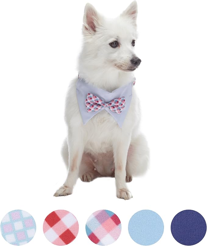 Blueberry Pet Timeless Multicolor Scottish Tartan Adjustable Dog Bandana Collar with Bow Tie, Medium, Neck 14.5"-20"