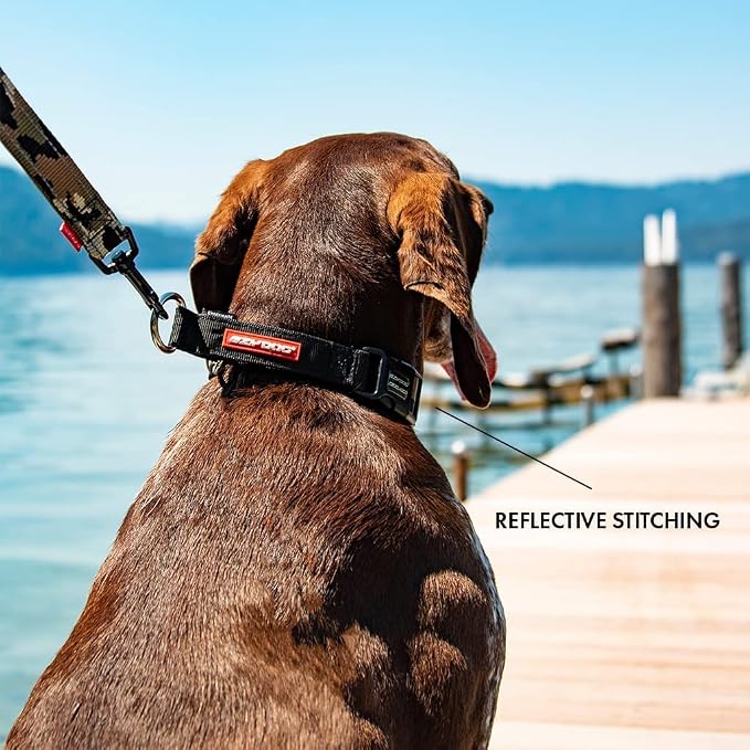 EzyDog Checkmate Martingale Collar for Dogs – Premium Nylon Training Dog Collar for Easy Control with no Choking (Medium, Red)