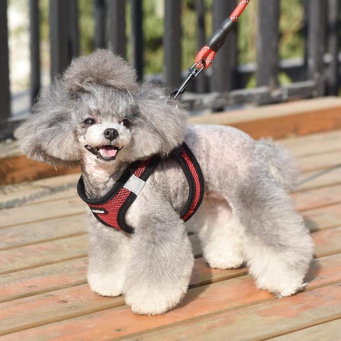 Dog Harness Step-in Breathable Puppy Cat Dog Vest Harnesses for Small Medium Dogs