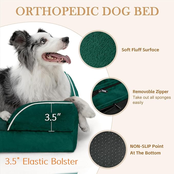 Comfort Expression Orthopedic Dog Bed for Medium Dogs 28x19 Inch, Waterproof Supportive Egg Crate Foam Medium Pet Bed with Removable Bolsters, Dog Couch with Washable Cover & Non-Slip Bottom, Emerald