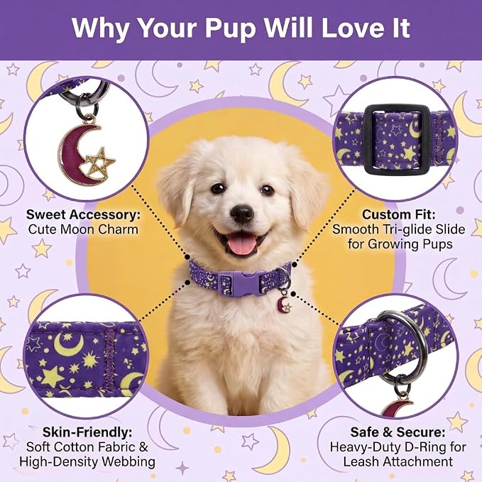 Cute Dog Collar, Moon Puppy Collar for Extra Small Dogs, XS