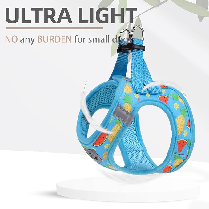 PUPTECK Adjustable Dog Harness Collar and Leash Set Step in No Pull Pet Harness for Small Medium Dogs Puppy and Cats Outdoor Walking Running, Soft Mesh Padded Reflective Vest Harnesses, Sky Blue M