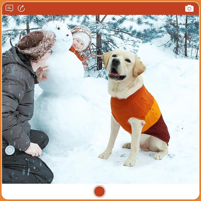 EXPAWLORER Dog Sweater - Large Dogs Fall Sweaters for Girls Boys,Classic Turtleneck Knitwear Dog Clothes for Cold Weather, Cable Knit Dogs Outfit,Coat,Pet Apparel(Orange,XL)