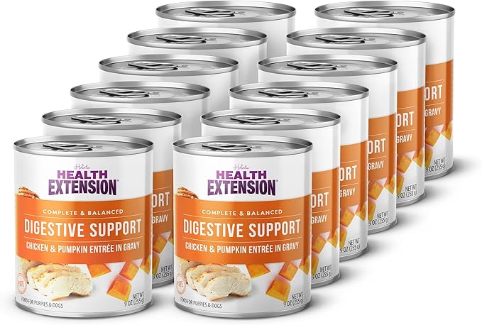 Health Extension Wet Dog Food Chicken & Pumpkin Entrée in Gravy, 9 oz - Digestive Support with Superfoods & Antioxidants for Immune Support (Case of 12 Cans)