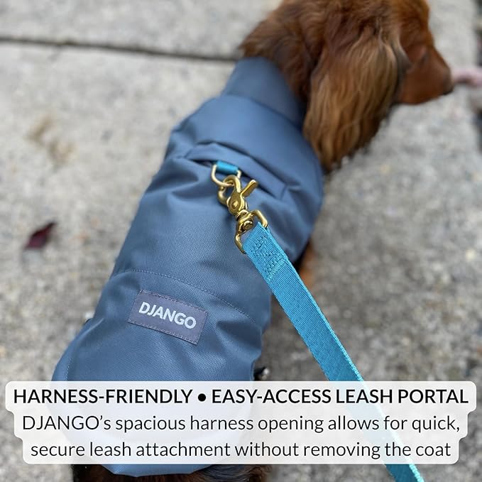 DJANGO Reversible Puffer Dog Coat – Warm Winter Dog Jacket & Water-Repellent Insulated Dog Coat w/Harness Hole, Windproof, Adjustable Fit for Small & Medium Dogs, Dachshunds – Violet Purple, Medium