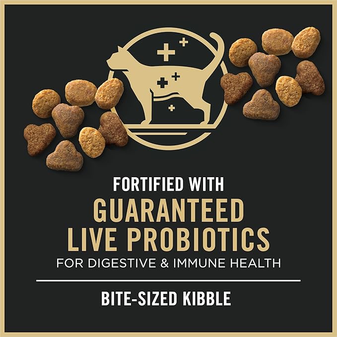 Purina Pro Plan High Protein Cat Food With Probiotics for Cats, Chicken and Rice Formula - 16 lb. Bag