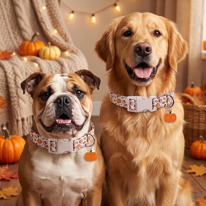 Fall Dog Collar, Puppy Collar for Extra Small Girls Boys Dogs, XS