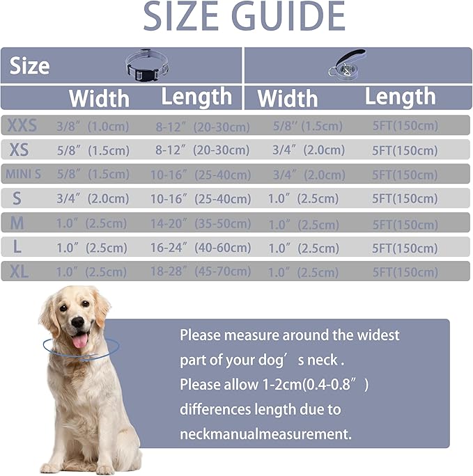 Reflective Dog Collar with Safety Locking Buckle, Adjustable Soft Breathable Nylon Collars for Small, Medium and Large Dogs(Collar+Leash XS Width 5/8" Gray)