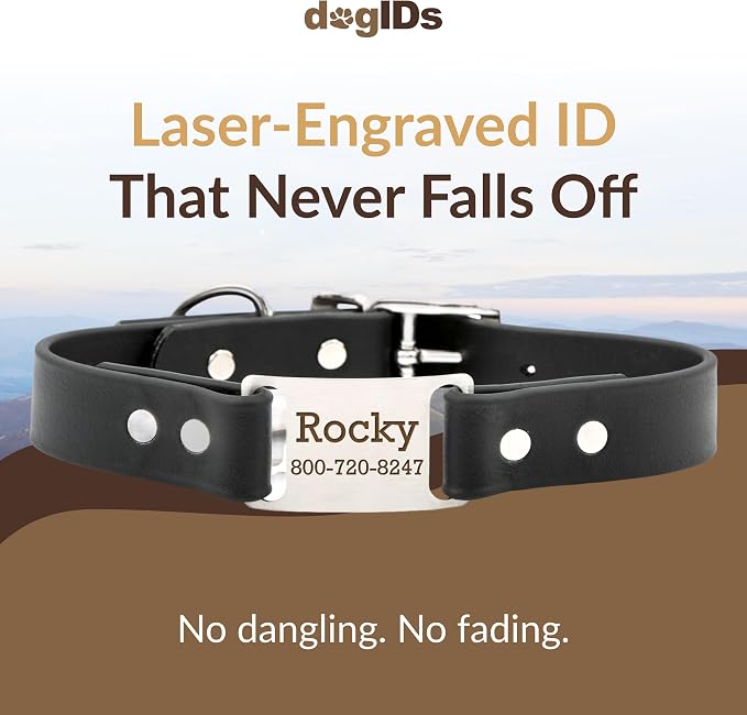 dogIDs Personalized Dog Collar – ScruffTag Custom Waterproof Biothane Dog Collar with Laser-Engraved Name, Durable & Odor-Resistant – USA Made | Black, 1 in x 22 in (Fits Neck Sizes 20-24 in)