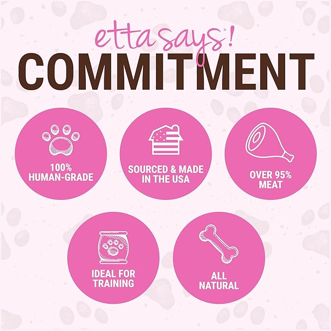 etta says! Yumm Sticks - Real Meat Pork Dog Jerky Treats - Human Grade - Made in The USA (12 Count Pack of 1)