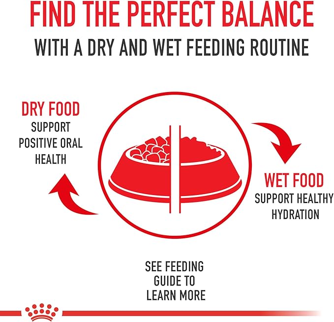 Royal Canin Breed Health Nutrition Yorkshire Terrier Adult Loaf in Sauce Dog Food, 3 oz (Pack of 24)