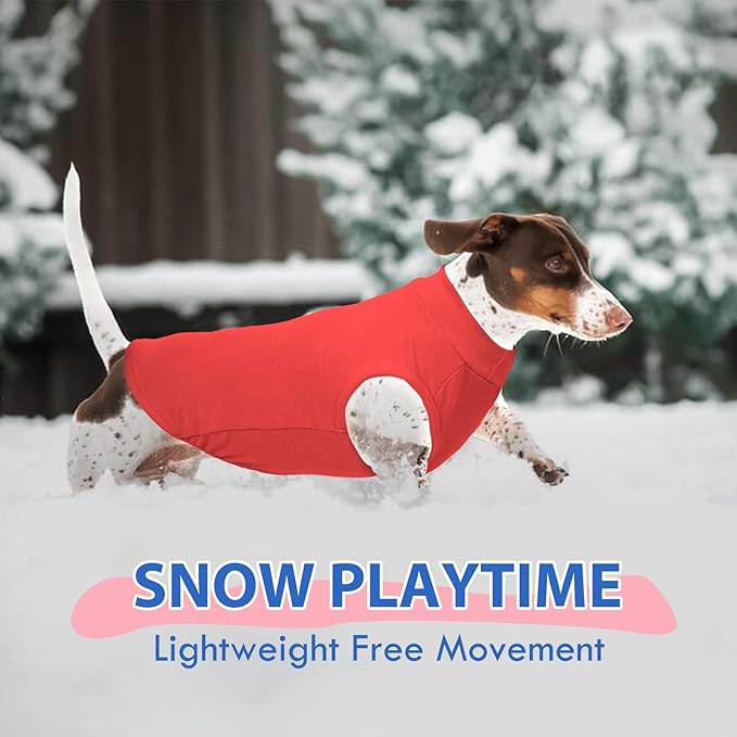 Dog Sweater Fleece Vest - Red, XS - Stretchable Sleeveless | Warm Lightweight Sweatershirt, Pullover Design for Puppy,Chihuahua Clothes,Cold Weather Outdoor Walking