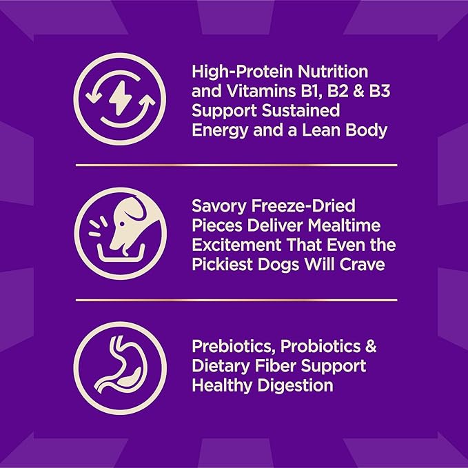 Wellness CORE+ Dry Dog Food with Freeze Dried Pieces, Small Breed, Grain Free, High Protein, Natural, Original Turkey & Chicken Recipe, (4-Pound Bag)