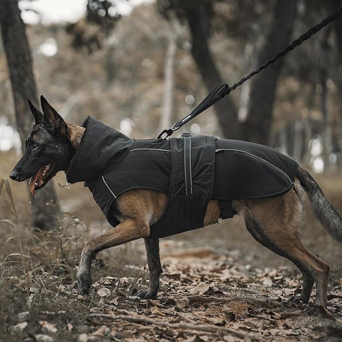 OneTigris Dog Coat Waterproof Dog Jacket with Adjustable Buckle Hook & Loop Windproof Cold Weather Coats for Small Medium Large Dogs (Black, Medium)
