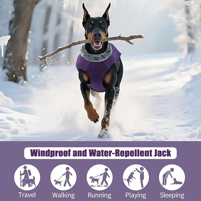 DENTRUN Winter Warm Dog Coat Reflective Jacket with Turtleneck for Cold Weather, Adjustable Buckle Windproof Water Repellent, Thick Snowsuit Fleece Vest for Small, Medium, Large Dogs, Purple, L