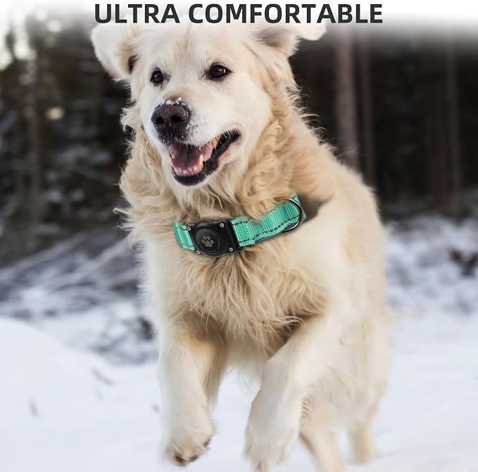 Upgrade Dog Collar with AirTag Holder, IP68 Waterproof, Aqua, S | Built-in Water Resistant AirTag holder, 1000D Nylon, Reflective Stitching for Night Visibility, Soft padding for Comfort