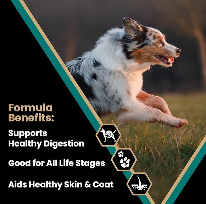 VICTOR Super Premium Dog Food – Select Ocean Fish Formula with Salmon – Omega-3 and Omega-6 Enriched Gluten-Free Dry Kibble for All Normally Active Dogs of All Life Stages, 5lbs