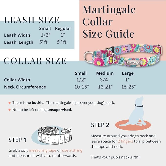 Lucky Love Dog Martingale Collar & Leash Set No Slip Cute – Caroline, Small