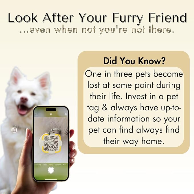 PawFurEver QR Code Dog Tag - Custom Dog Tags/Pet ID Tags for Dogs, Engraved Dog Tag & Pet Tag, Stainless Steel Dog Tags Personalized for Pets (Beach, Silver)