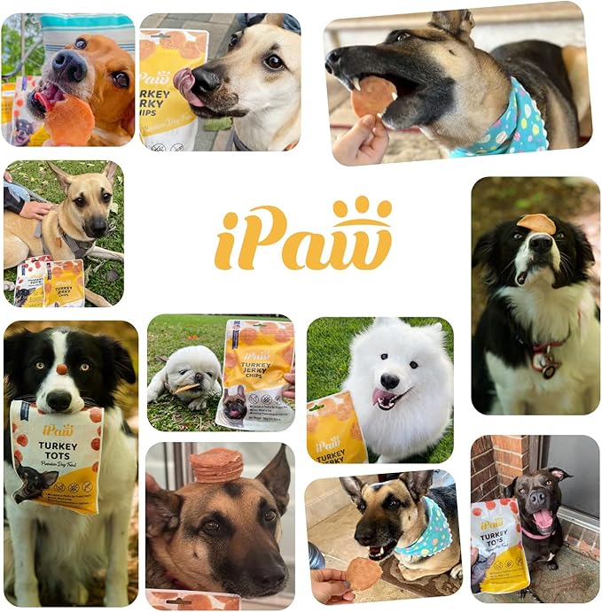 iPaw Chicken Tots Dog Treats for Puppy Training, All Natural Human Grade Dog Treat, Hypoallergenic, Easy to Digest (Chicken Tots), 5 Packs