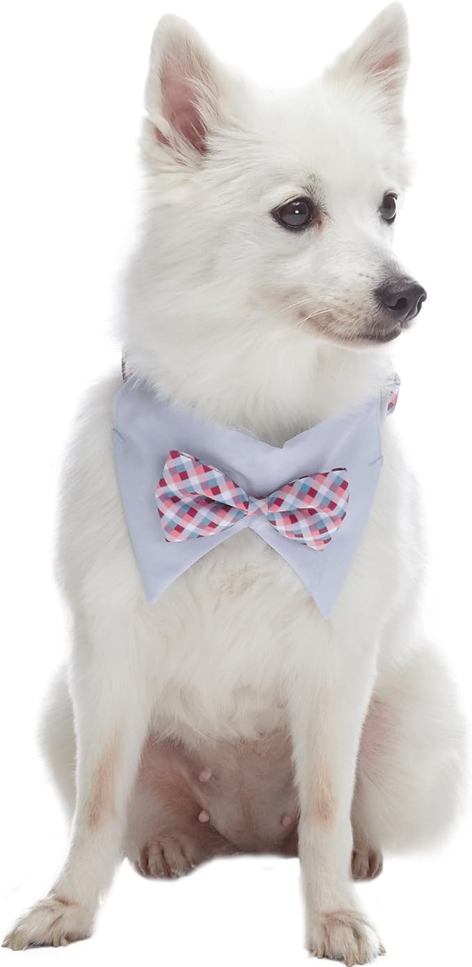 Blueberry Pet Timeless Multicolor Scottish Tartan Adjustable Dog Bandana Collar with Bow Tie, Small, Neck 12"-16"
