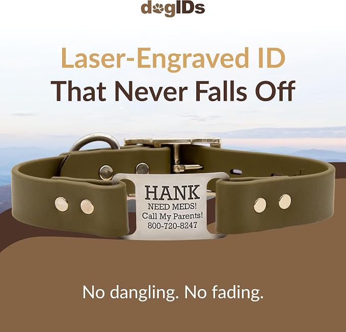 dogIDs Personalized Dog Collar – ScruffTag Custom Waterproof Biothane Dog Collar with Laser-Engraved Name, Durable & Odor-Resistant – USA Made | Sage, 3/4 in x 16 in (Fits Neck Sizes 14-18 in)