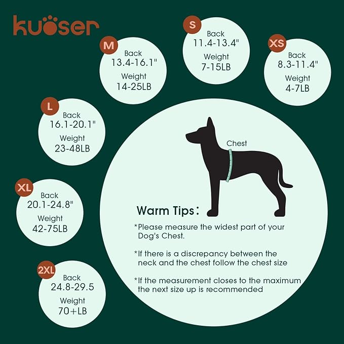 Kuoser Surgery Suit for Female Spay, Male Neuter - Recovery Onesie, Anti-Licking Clothes for Abdominal Wounds, Puppy Surgical Bodysuit Shirt, E-Collar & Cone Substitute