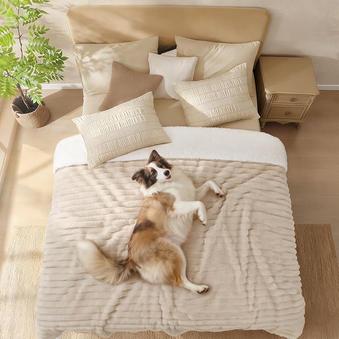 Luciphia Waterproof Dog Blanket for Medium Large Dogs Ultra-Soft Calming Cut Pile Flannel Throw Durable & Warm Furniture Protection for Couch Car Pet Blanket Machine Washable Soft White,M(57''x40'')
