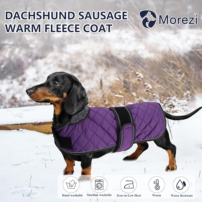 Dachshund Coat Dog Coats for Dachshunds Dachshund Winter Jacket with Padded Fleece Outdoor Dog Clothes with Adjustable Bands - Purple - XS