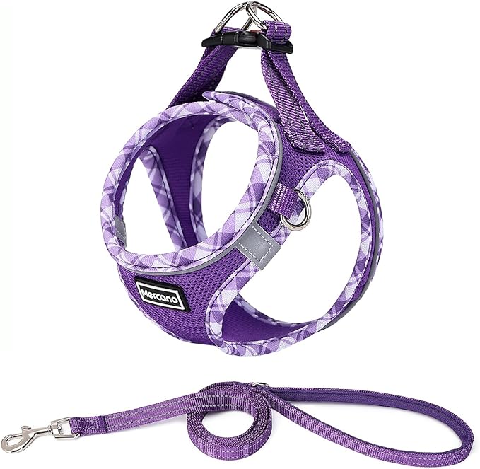 Mercano Soft Mesh Dog Harness and Leash Set, No-Chock Step-in Reflective Breathable Lightweight Easy Walk Vest Harnesses with Safety Buckle for Small Dogs, Cats (XL, Purple)