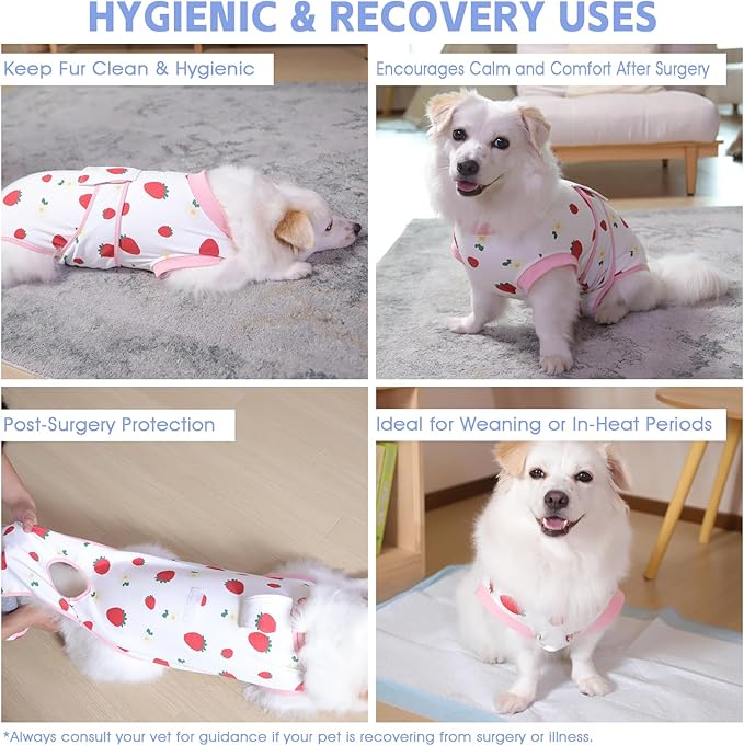 Dog Cat Recovery Suit Pet Glam After Surgery Onesie Cone Alternative Post Surgical Bodysuit Neuter & Abdominal Wound Care Cotton Prevents Licking Male Female (Fruit, XXL)