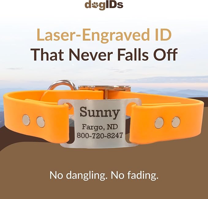 dogIDs Personalized Dog Collar – ScruffTag Custom Waterproof Biothane Dog Collar with Laser-Engraved Name, Durable & Odor-Resistant – USA Made | Creamsicle, 1 in x 16 in (Fits Neck Sizes 14-18 in)