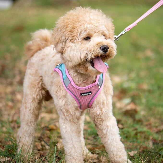 AIITLE No Pull Dog Harness and Leash Set, Step in Adjustable Dog Harness with Padded Vest for All Weather, Dog Leash with Soft Padded Handle, Easy to Put on Small and Medium Dogs Pink S