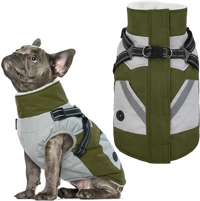IECOii Dog Coat with Harness Built in - Green, Large - Waterproof Winter Coat, Fleece Lined Snow Jacket for Dogs