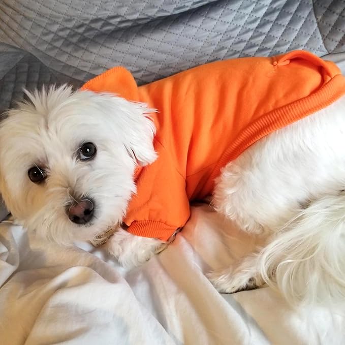 Jecikelon Winter Dog Hoodie Sweatshirts with Pockets Warm Dog Clothes for Small Dogs Chihuahua Coat Clothing Puppy Cat Custume (Orange, X-Small)
