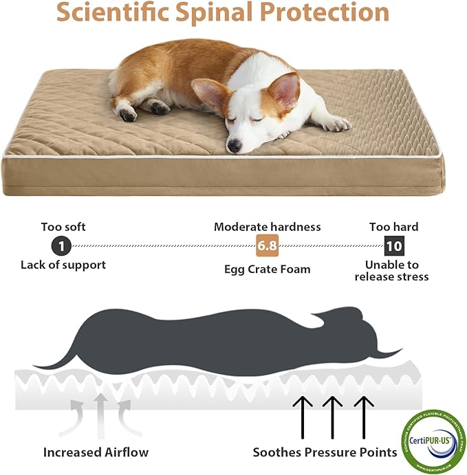 WNPETHOME Orthopedic XL Dog Bed for Crate, Waterproof Extra Large Dogs Bed with Removable Washable Cover, Multi-Needle Quilting Dogs Crate Bed