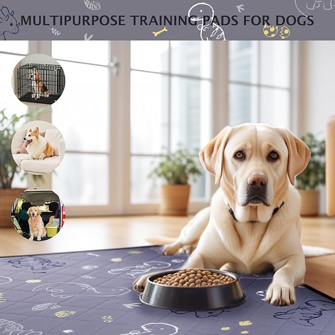 IEUUMLER Washable Pee Pads for Dogs, 2 Pack Non-Slip & Waterproof Pack Whelping Pad, Reusable Washable Puppy Potty Training Pad with Fast Absorbent for Playpen EU007 (Gray Dinosaur, 36"X24"-2pcs)